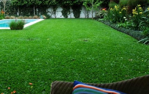 comprar Grama-Bahiana-cesped cordoba vivero flandes