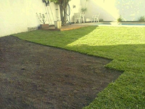 colocar cesped vivero flandes