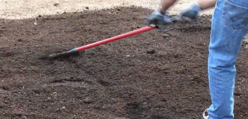 emparejar tierra vivero flandes