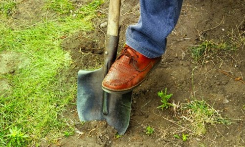 remover tierra vivero flandes